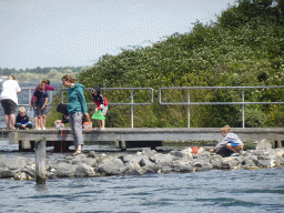 Our friends catching crabs at the Duikplaats `t Koepeltje, viewed from the West Repart beach