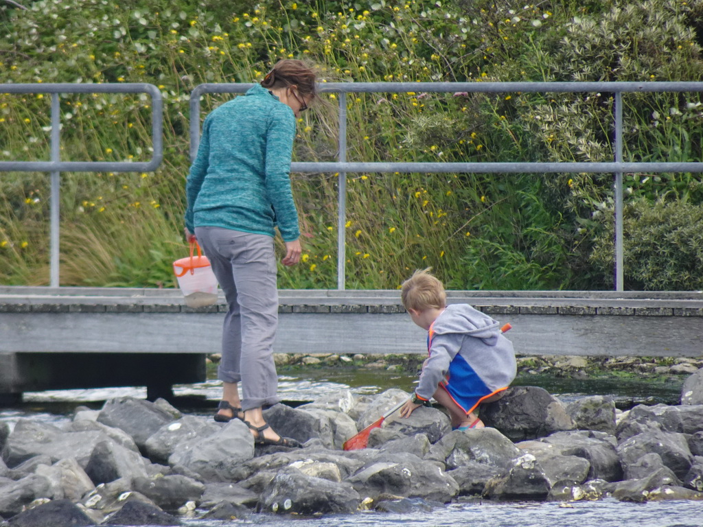 Our friends catching crabs at the Duikplaats `t Koepeltje, viewed from the West Repart beach