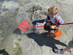 Max and his friend letting crabs go at the West Repart beach