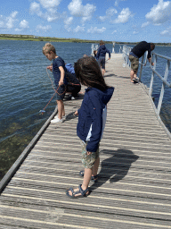 Max catching crabs at the Duikplaats `t Koepeltje