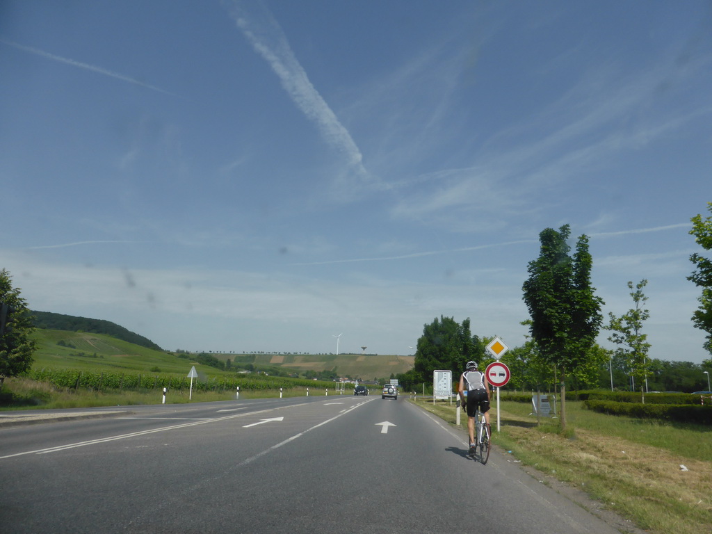 Cyclist on the Route du Vin road between Schengen and Remerschen, viewed from the car