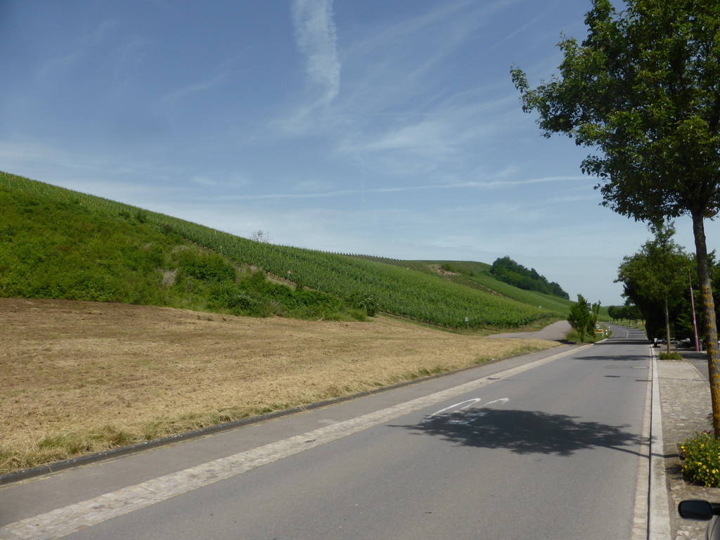 The Route du Vin road and wine fields at Schwebsange