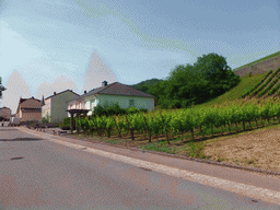 The Route du Vin road and wine fields at Schwebsange