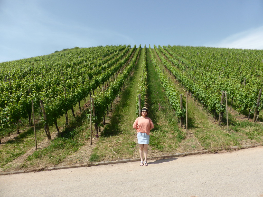 Miaomiao and wine fields at Schwebsange