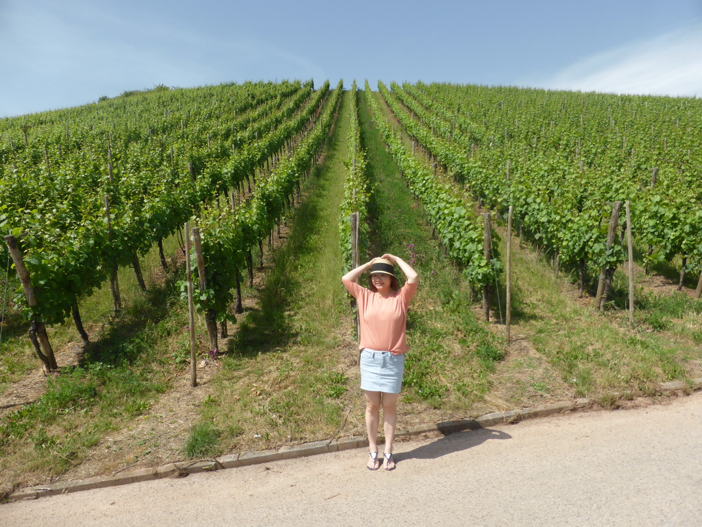 Miaomiao and wine fields at Schwebsange