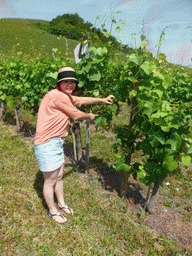 Miaomiao with plants at the wine fields at Schwebsange
