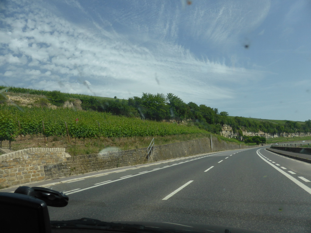 Wine fields next to the Route du Vin road between Stadtbredimus and Hettermillen, viewed from the car