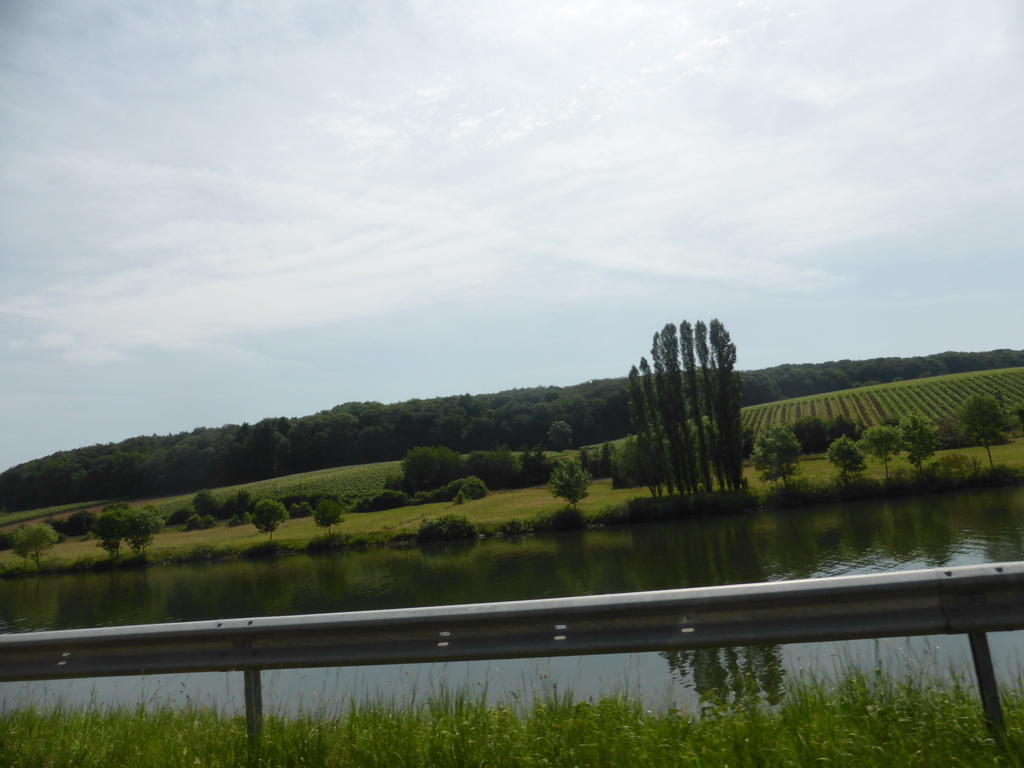 Wine fields and the Moselle river next to the Route du Vin road near Ehnen, viewed from the car