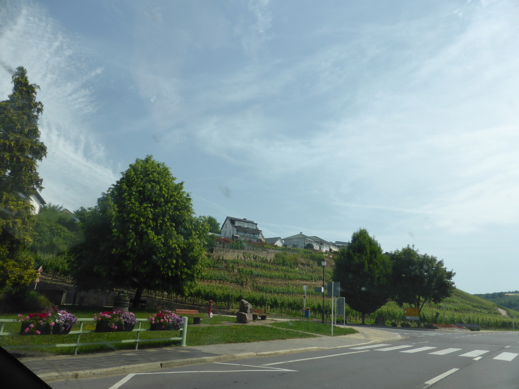 Wine fields at the village of Ehnen next to the Route du Vin road, viewed from the car