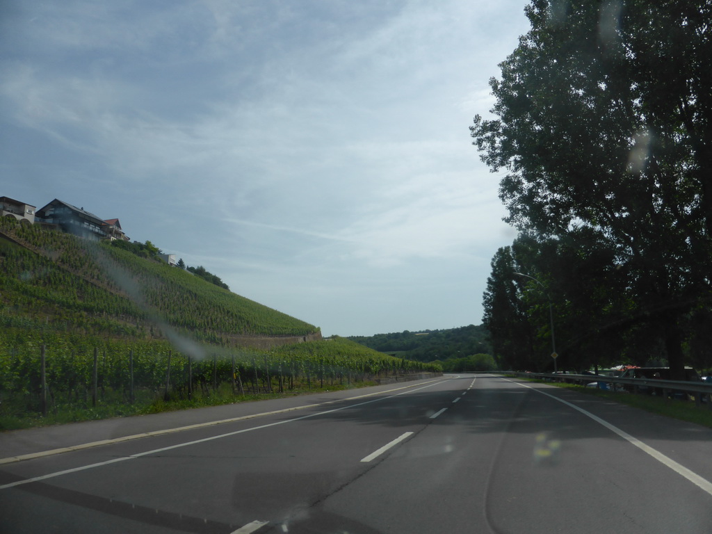 Wine fields at the village of Ehnen next to the Route du Vin road, viewed from the car