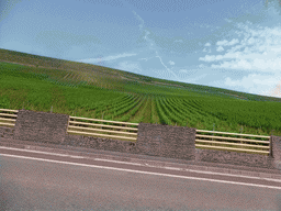 Wine fields next to the Route du Vin road near Koeppchen, viewed from the car