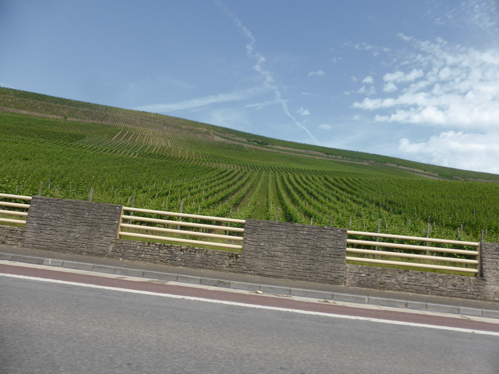 Wine fields next to the Route du Vin road near Koeppchen, viewed from the car