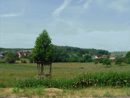 Grasslands next to the Iewescht Strooss street near Mompach, viewed from the car