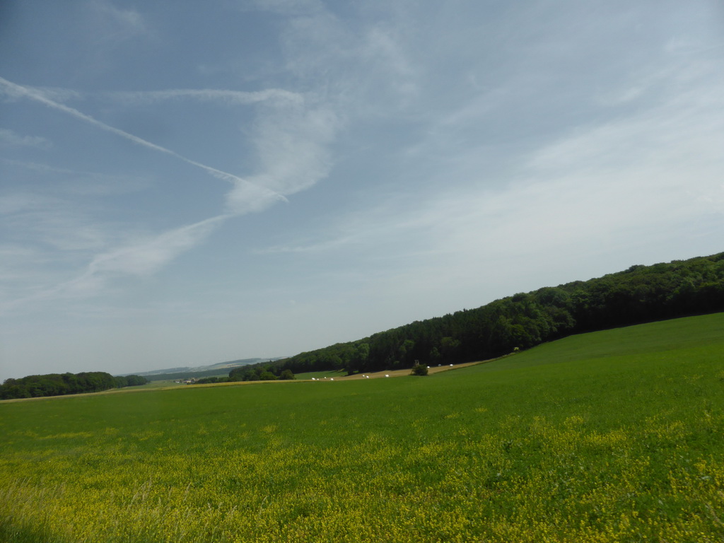 Grasslands next to the Iewescht Strooss street between Mompach and Echternach, viewed from the car