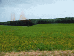 Grasslands next to the Iewescht Strooss street between Mompach and Echternach, viewed from the car