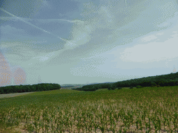 Grasslands next to the Iewescht Strooss street between Mompach and Echternach, viewed from the car