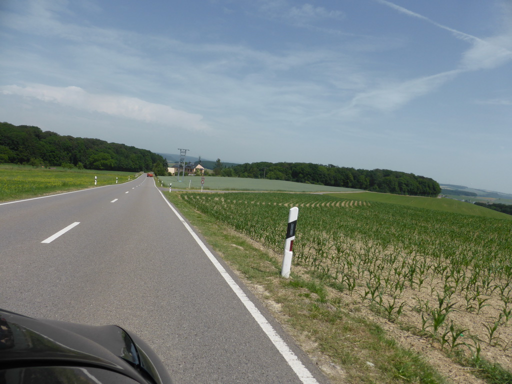 Grasslands next to the Iewescht Strooss street between Mompach and Echternach, viewed from the car