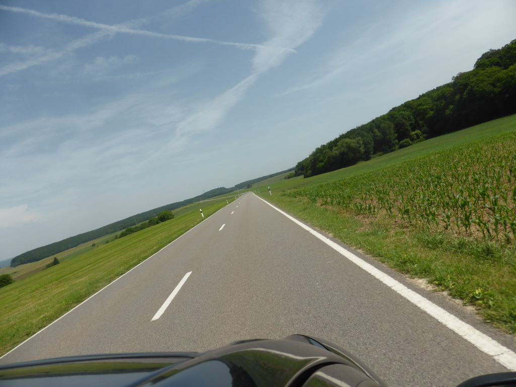 Grasslands next to the Iewescht Strooss street between Mompach and Echternach, viewed from the car