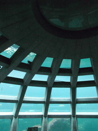 The Under Water Dome at the Seattle Aquarium