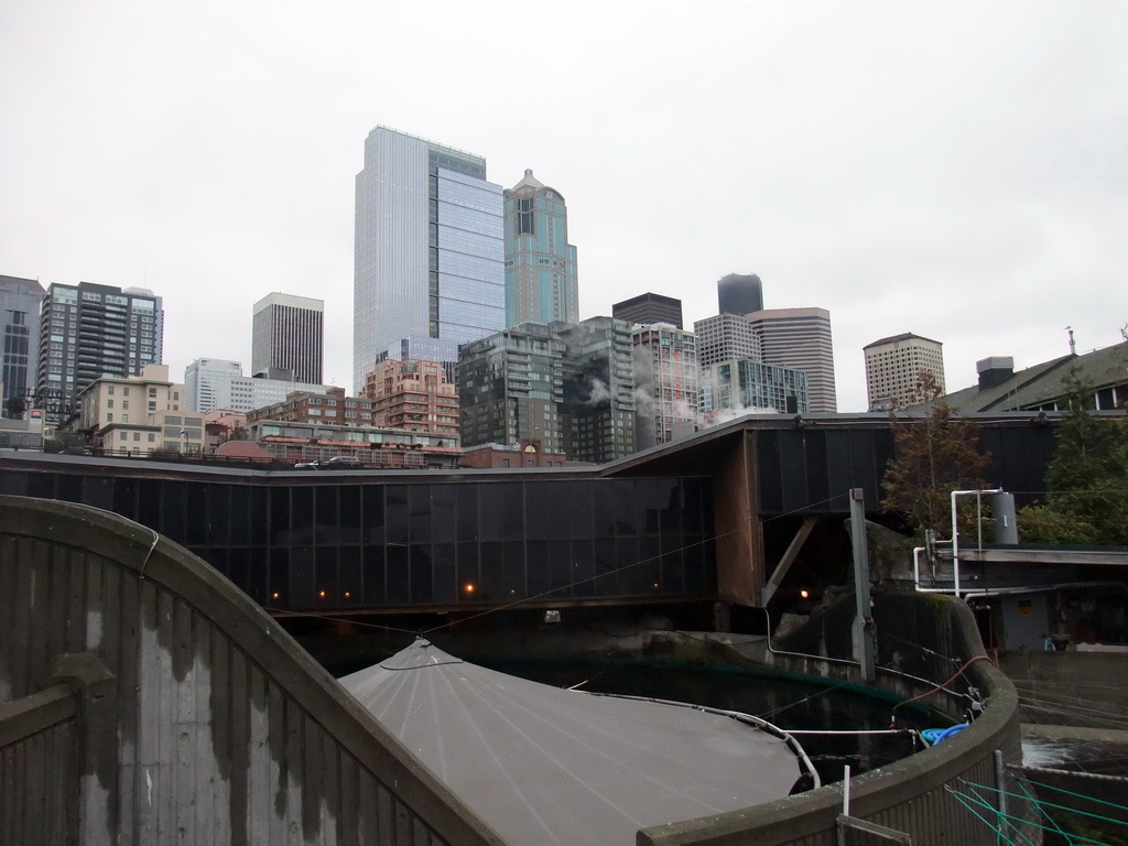 Skyline of Seattle, viewed from the Seattle Aquarium