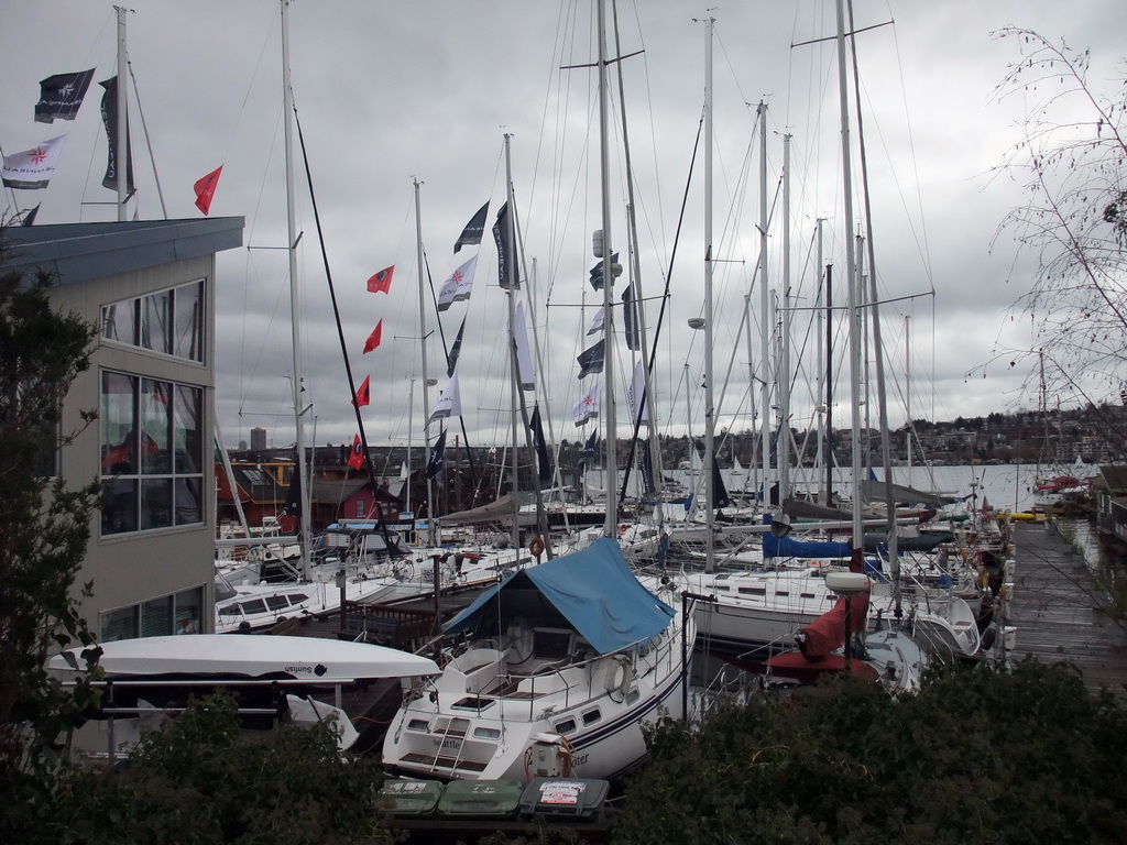 Boats at the west side of Lake Union