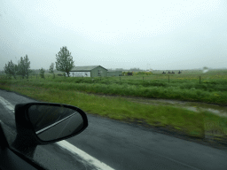 The Hjarðarból Guesthouse and people riding horses at Hjarðarból, viewed from the rental car on the Suðurlandsvegur road