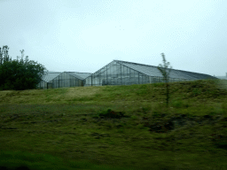 Greenhouses at the Geothermal Park Hverasvæðið at Hveragerði, viewed from the rental car on the Þjóðvegur road