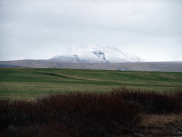 Grassland and mountains at a town near the Seljalandsfoss waterfall