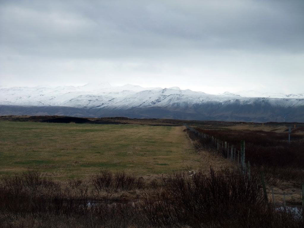 Grassland and mountains at a town near the Seljalandsfoss waterfall