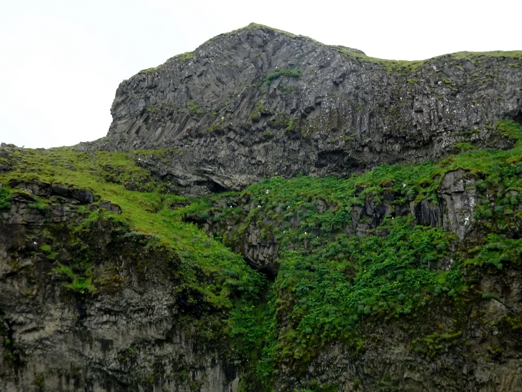 Rocks with birds at the south side of the Seljalandsfoss waterfall