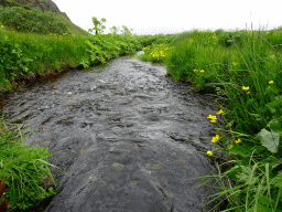 Stream at the north side of the Seljalandsfoss waterfall