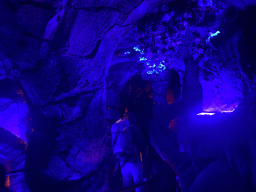 Interior of the cave at the waiting line for the Djengu River attraction at the Magische Vallei section at the Toverland theme park