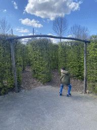 Max in front of the Dwaalhof attraction at the Wunderwald section at the Toverland theme park