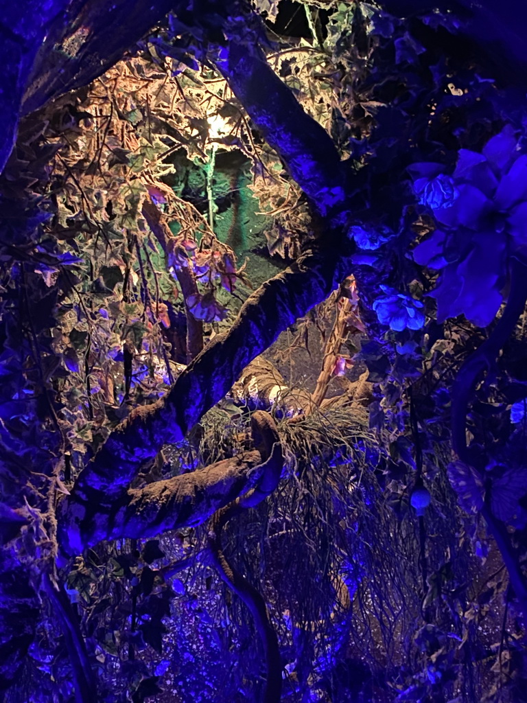 Plants at the cave at the waiting line for the Djengu River attraction at the Magische Vallei section at the Toverland theme park