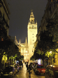 Miaomiao in the Calle Mateos Gago street, and the Seville Cathedral with the Giralda tower, by night
