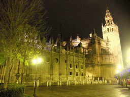 The east side of the Seville Cathedral with the Giralda tower at the Plaza del Triunfo square, by night