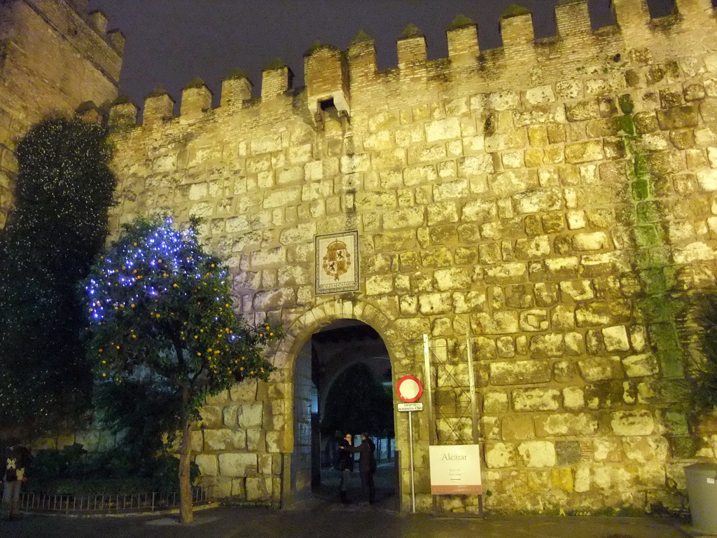 Northern wall of the Alcázar of Seville with entrance to the Patio de Banderas courtyard, by night