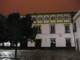Orange tree and houses at the Patio de Banderas courtyard, by night