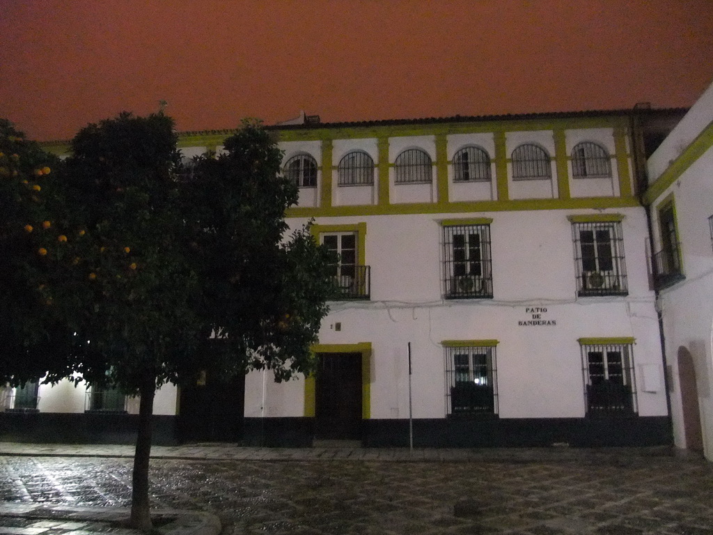 Orange tree and houses at the Patio de Banderas courtyard, by night