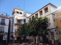 Houses and orange trees at the Plaza Venerables square