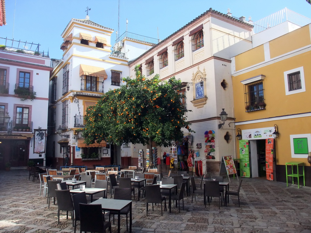 Houses and orange trees at the Plaza Venerables square