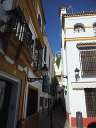The Calle Rodrigo Caro street