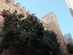 Northern wall of the Alcázar of Seville, in the Calle de Joaquin Romero Murube street