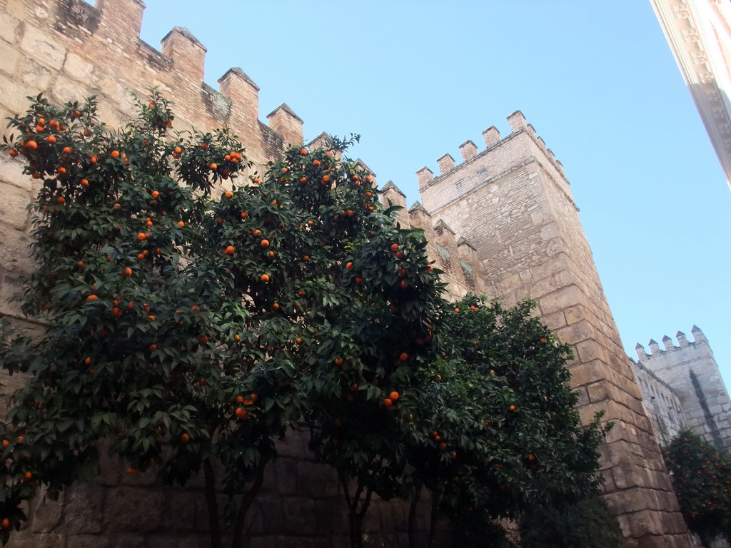 Northern wall of the Alcázar of Seville, in the Calle de Joaquin Romero Murube street