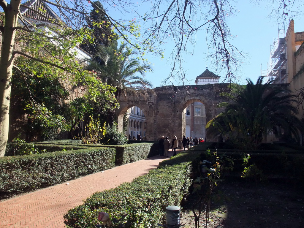 The Lion`s Courtyard (Patio del Leon) at the Alcázar of Seville