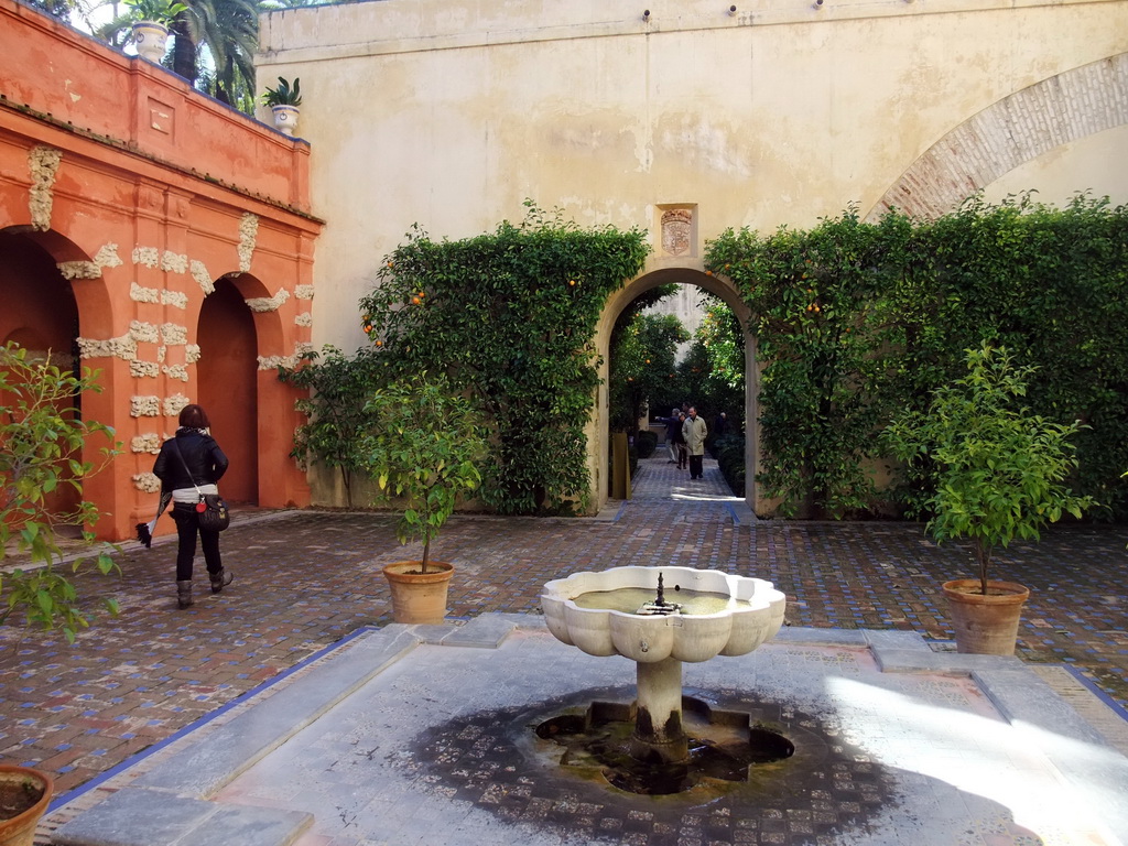 Miaomiao at the Jardín de Troya garden at the Alcázar of Seville