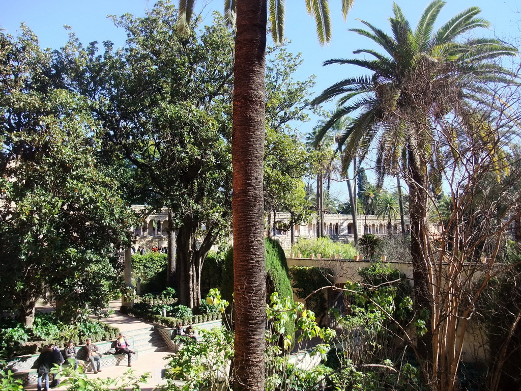 View from a balcony at the Palacio Gótico to the Gardens of the Alcázar of Seville