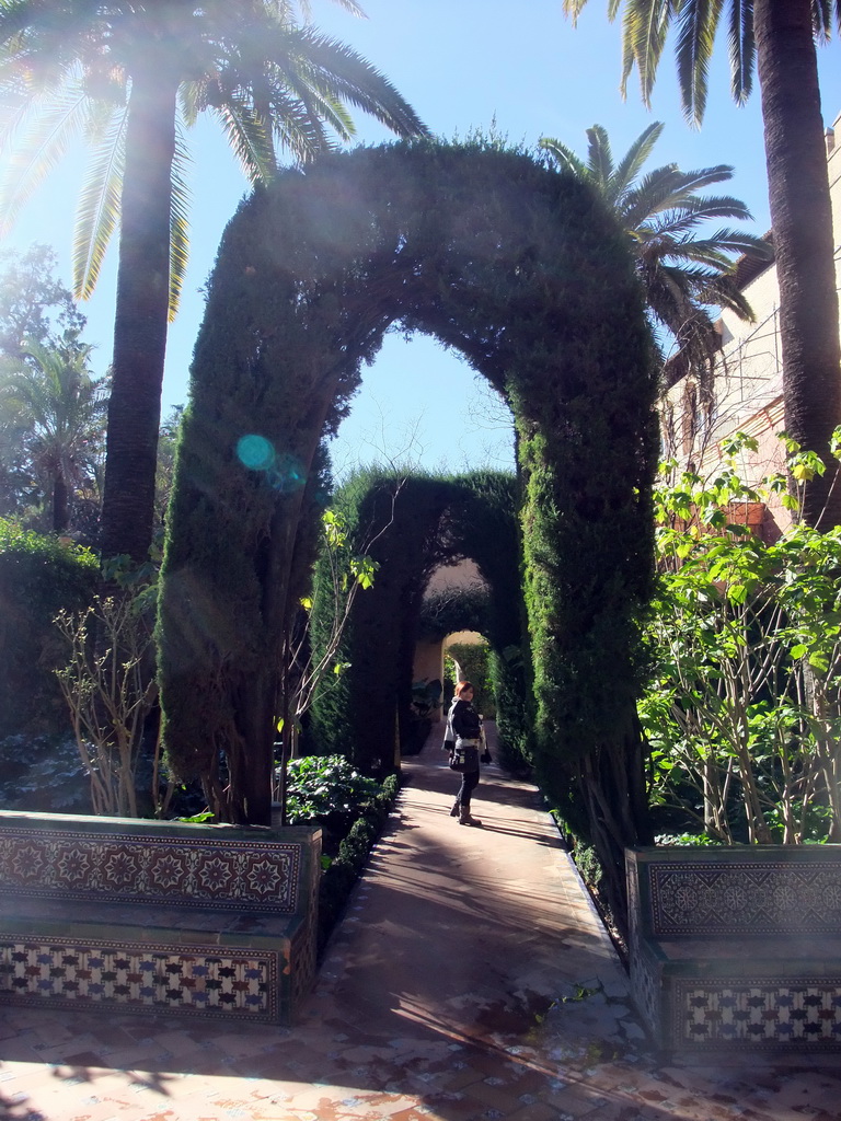 Miaomiao at the Jardín de la Danza at the Gardens of the Alcázar of Seville