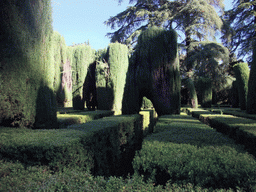 Labyrinth at the Gardens of the Alcázar of Seville