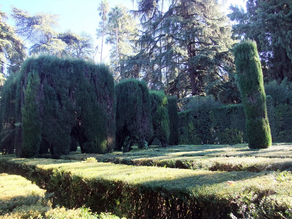 Labyrinth at the Gardens of the Alcázar of Seville